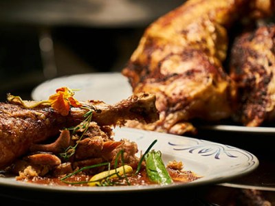 Free Thanksgiving meals